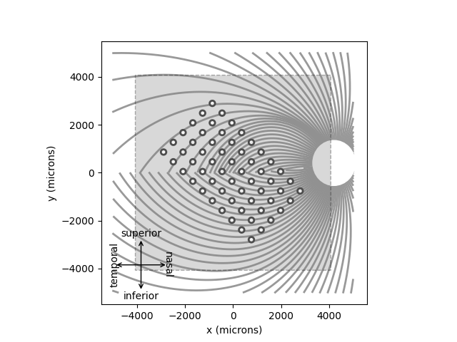 plot beyeler2019 axonmap