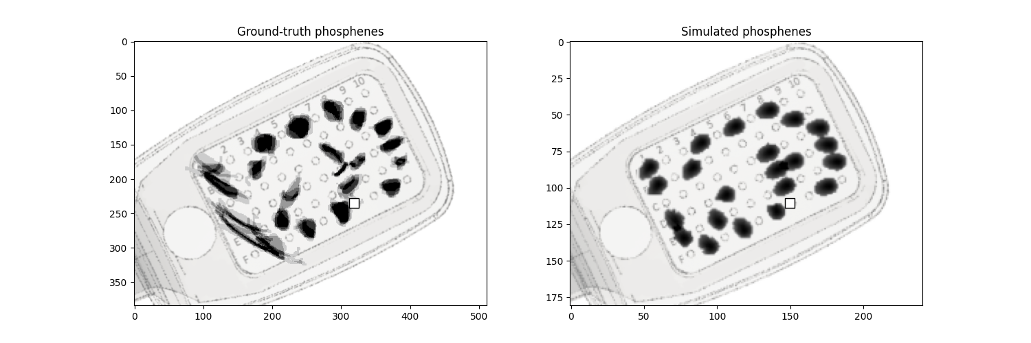 Ground-truth phosphenes, Simulated phosphenes