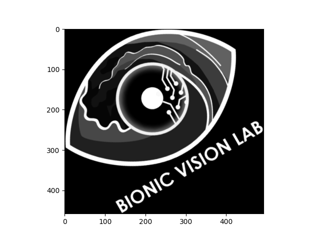 plot image stim