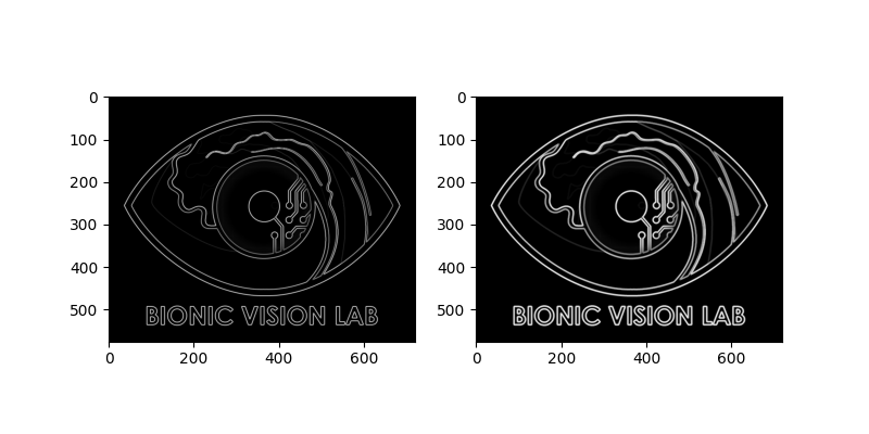 plot image stim