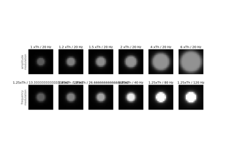 Nanduri et al. (2012): Frequency vs. amplitude modulation