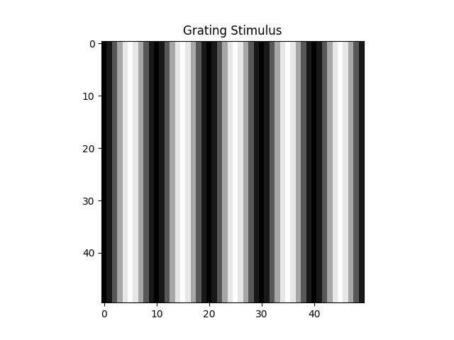 Grating Stimulus